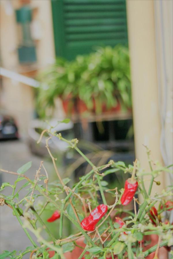 Appartamento Casa Maria Napoli Esterno foto